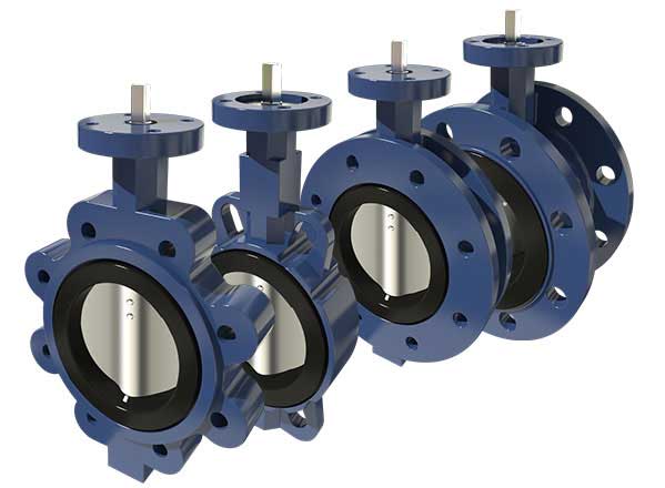 concentric butterfly valve